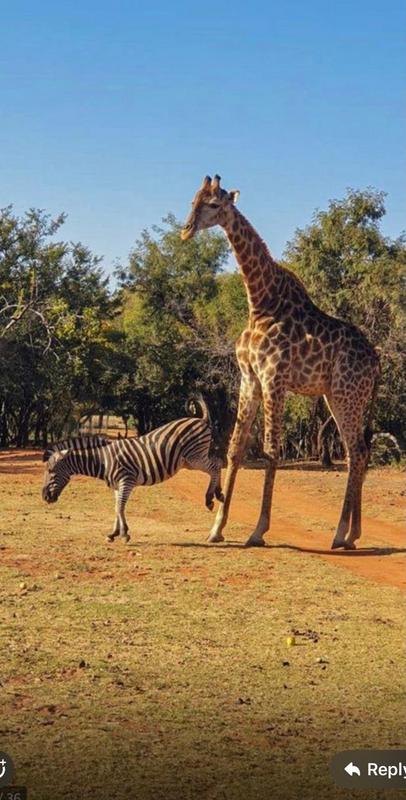 0 Bedroom Property for Sale in Broederstroom North West